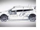 2013 ڽƳPolo R WRC